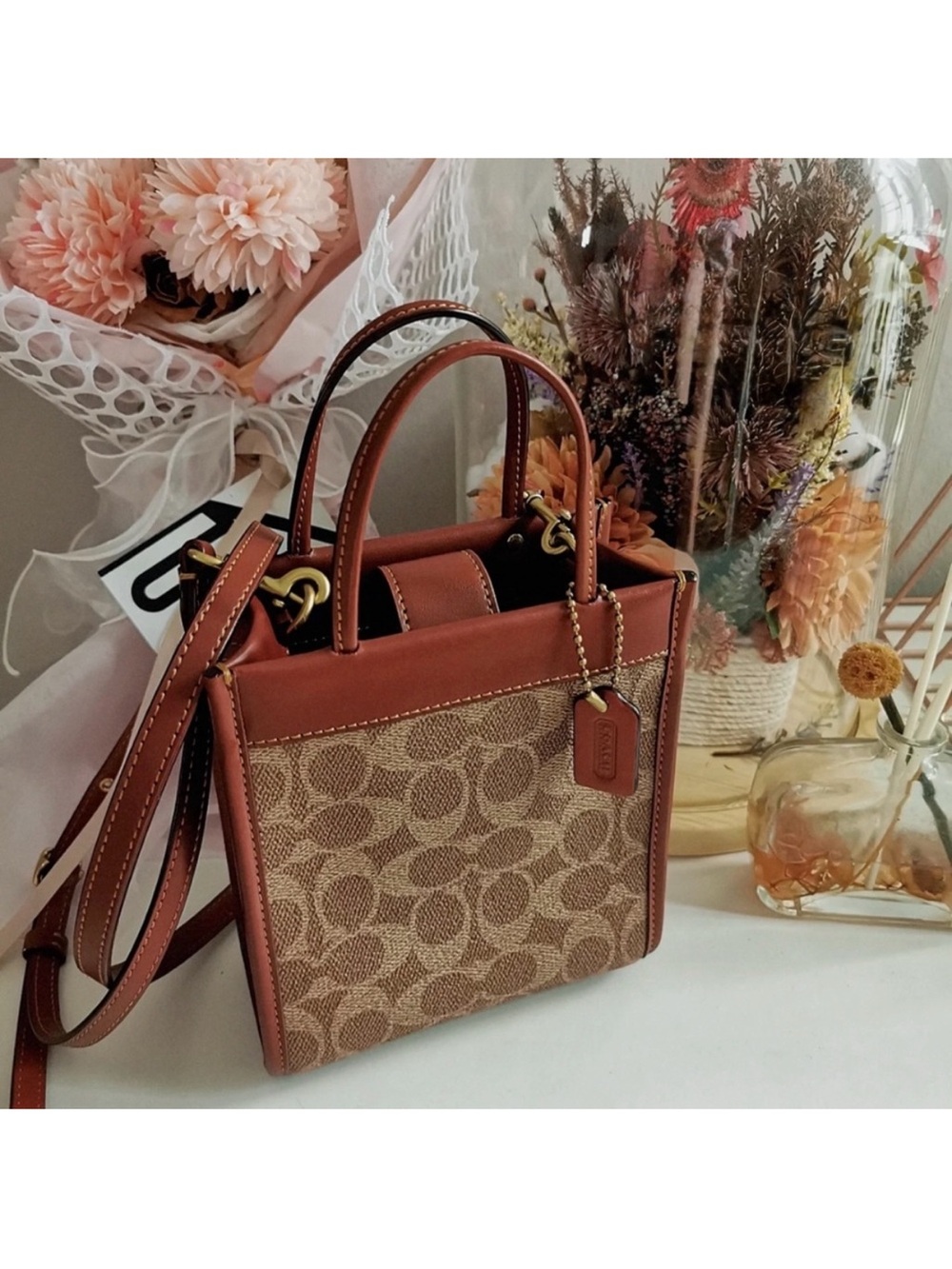 Coach Mini Chasin Tote Classic Signature Crossbody Bag Limited Edition